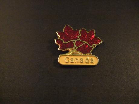 Canada Maple Leaf ( Esdoornbladeren ) met logo